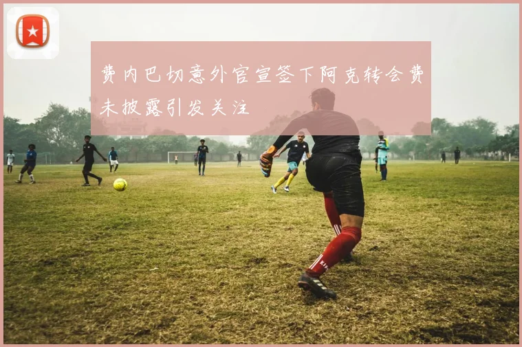 费内巴切意外官宣签下阿克转会费未披露引发关注
